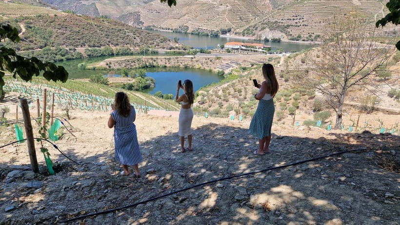 From Porto Douro Valley Tour with Train and Vinho Verde - Sabrosa Wine Tasting: Where the Day Gets More Serious