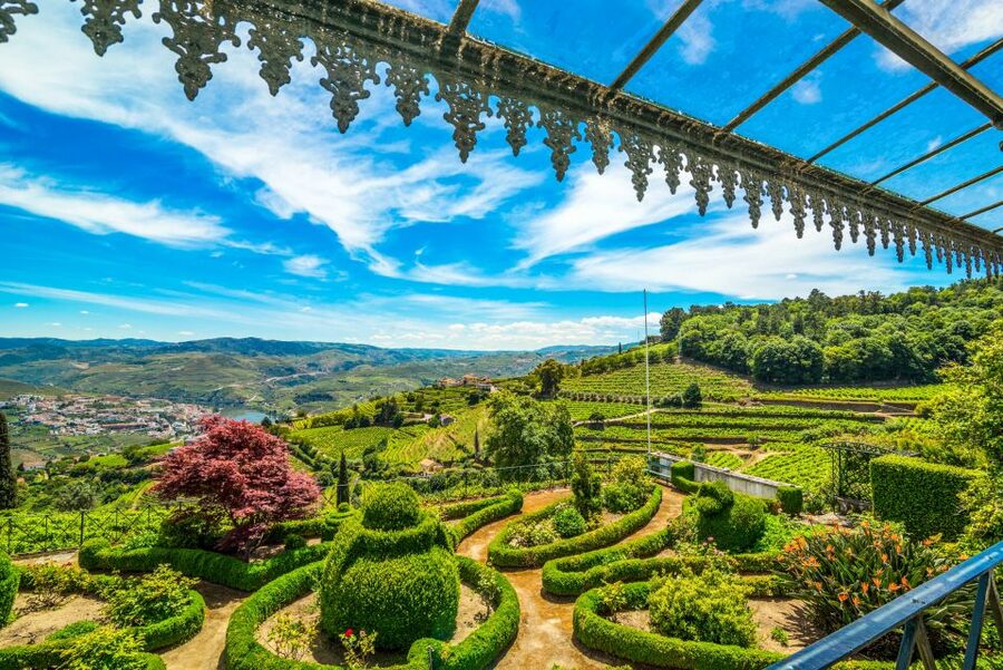 From Porto: Douro Valley w/ Boat Tour, Wine Tasting & Lunch - Lunch in a Wine Cellar: Where the Douro Meal Gets Its Point
