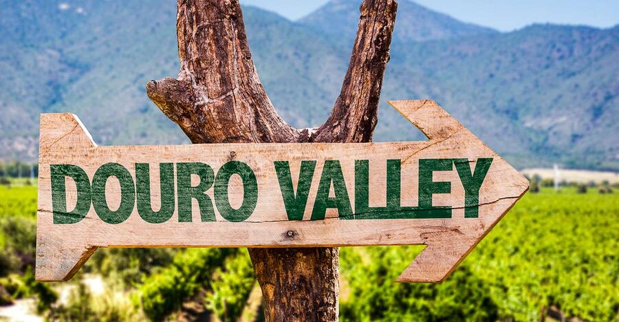 From Porto: Douro Valley w/ Boat Tour, Wine Tasting & Lunch - Group Size, Guide Energy, and How the Day Feels