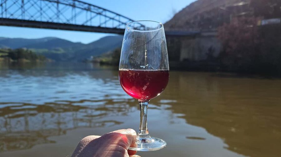 From Porto: Douro Valley Wine Tasting Tour With Hotel Pickup - How this Douro Valley day from Porto is set up