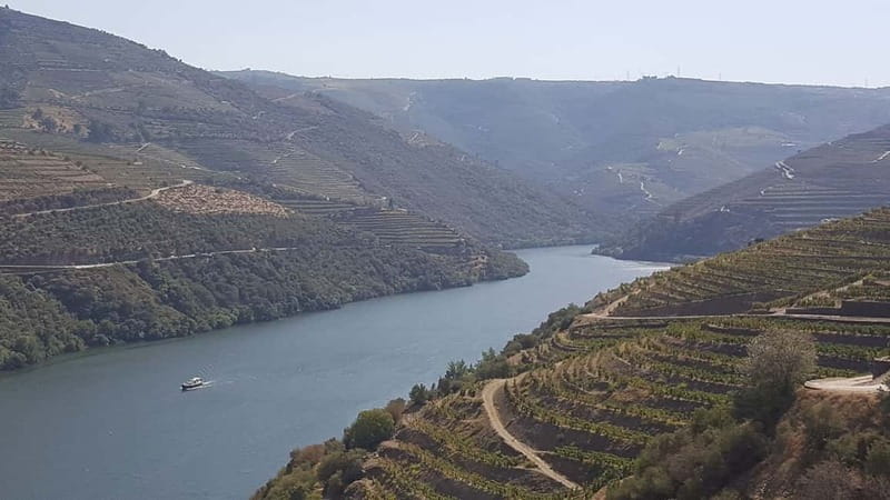 From Porto: Douro Valley Wine Tasting Tour With Hotel Pickup - Douro Valley winery tasting: the part that’s worth paying for