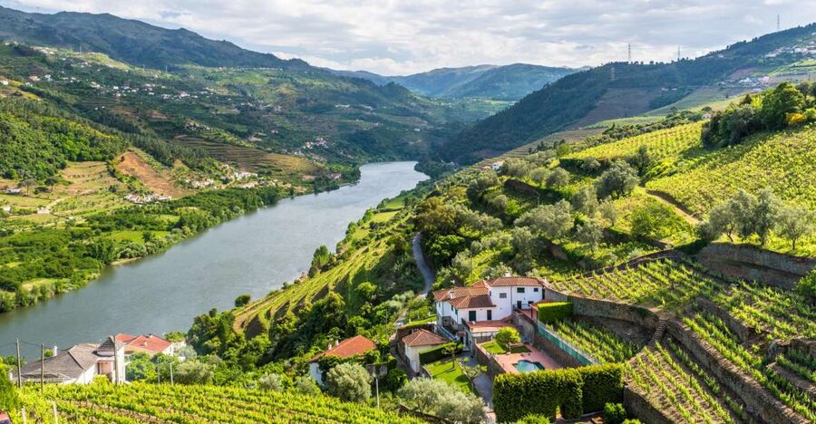 From Porto: Full-Day Douro Historical Tour - Porto to the Douro in 10 hours: what makes it worth it