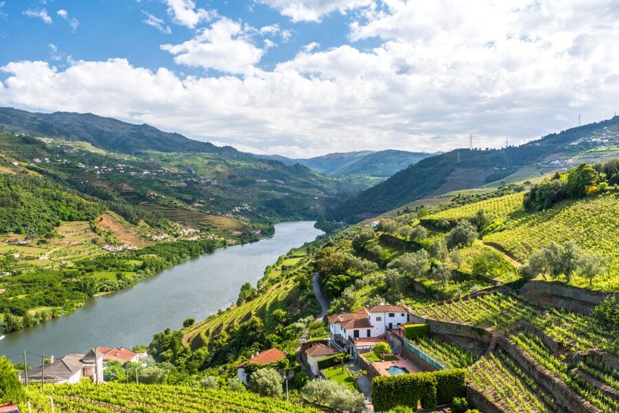 From Porto: Full-Day Douro Historical Tour - Amarante: a real historic town stop, not just a quick stop