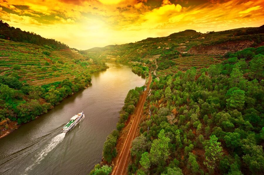 From Porto: Full-Day Douro Historical Tour - Douro Valley by bus: vineyard views with guided context