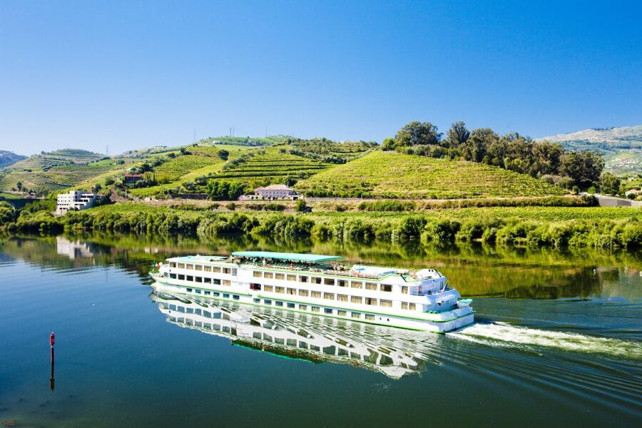 From Porto: Full-Day Douro Historical Tour - Port wine tasting: how to make the most of it