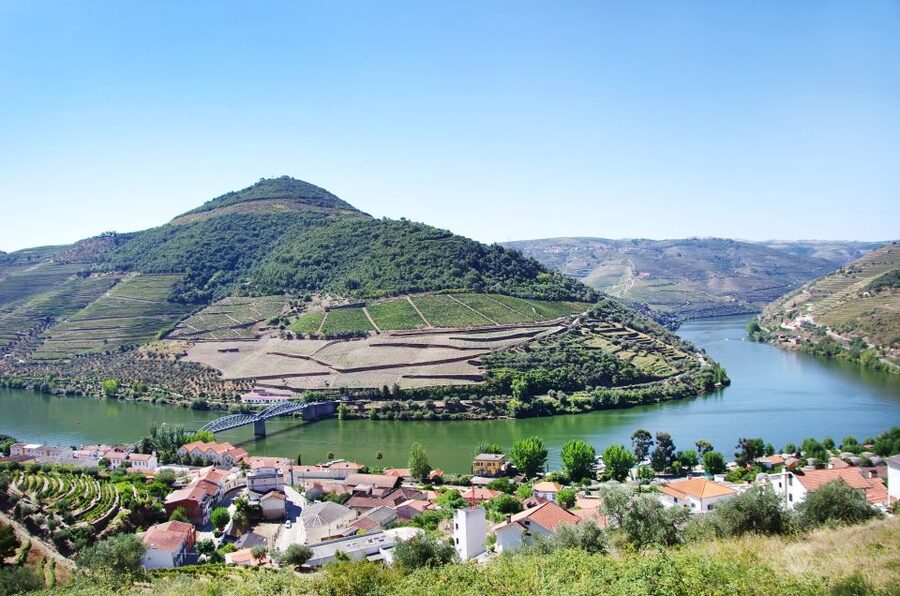 From Porto: Full-Day Douro Historical Tour - Lunch and winery time: what $104 buys you in practice