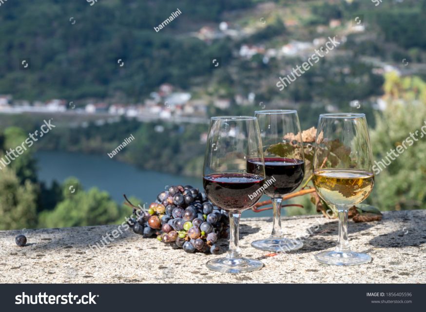 From Porto: Full-Day Douro Historical Tour - Meeting point and day logistics: start easy, stay comfortable