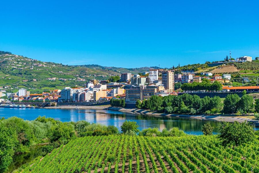 From Porto: Full-Day Douro Valley Trip - Régua bridge photos and N222 scenic stops: your best viewpoints are planned