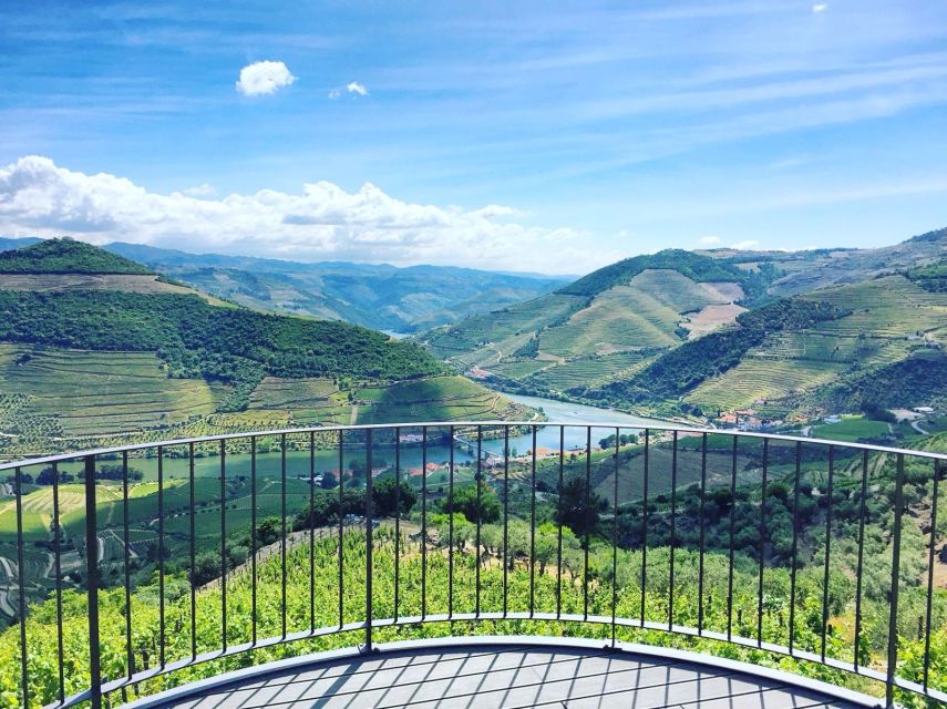 From Porto: Full-Day Douro Valley Trip - Pinhão boat cruise on the Douro River: the hour that resets your brain