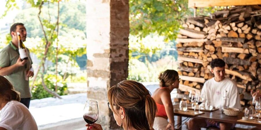 From Porto: Full-Day Douro Valley Trip - Second winery visit in Pinhão: another producer’s perspective