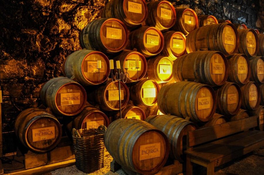 From Porto: Full-Day Douro Valley Trip - The tour vibe: guides with energy, drivers who keep you safe