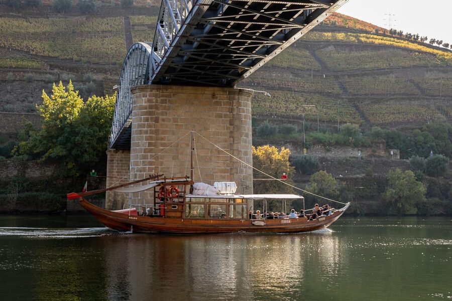 From Porto: Full-Day Douro Valley & Wine Tour with Lunch - Key highlights