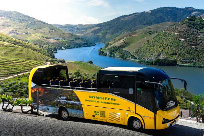 From Porto: Full-Day Douro Valley & Wine Tour with Lunch - Second Winery Time: A Practical Chance to Compare Tastes