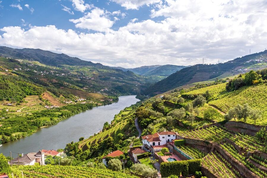 From Porto: Full-Day Trip of Minho Region - Braga Cathedral and Braga’s Old-City Energy