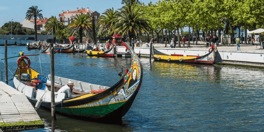 From Porto: Full-Day Trip to Coimbra & Aveiro with Boat Ride - Key things I’d focus on