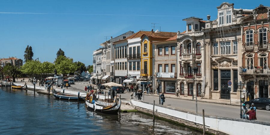 From Porto: Full-Day Trip to Coimbra & Aveiro with Boat Ride - Aveiro Lagoon by Moliceiro Boat: The Color-Filled, Slow-Moving High Point