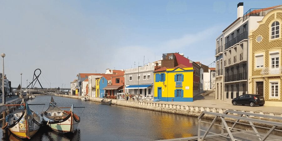 From Porto: Full-Day Trip to Coimbra & Aveiro with Boat Ride - Guides Matter: David, Carla, and Nuno as the Human Thread