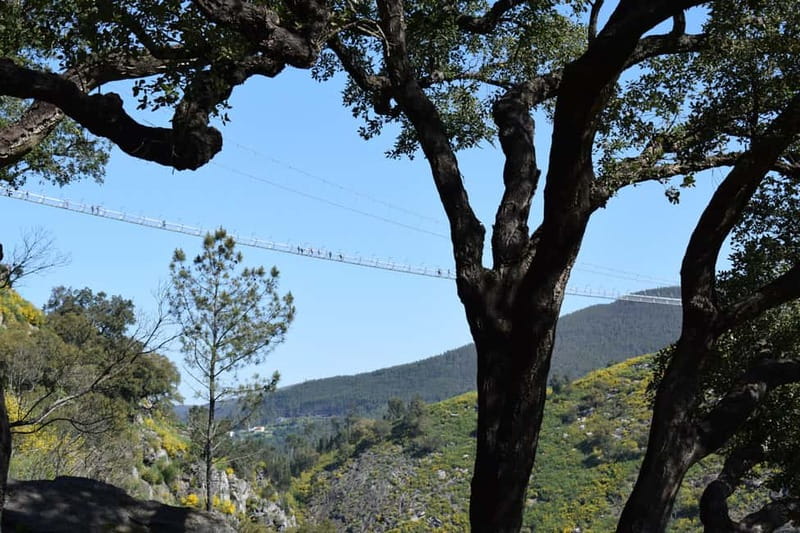 From Porto: Guided Tour of the 516 Arouca Suspension Bridge and Paiva Walkways - From Porto to Arouca: How the Day Starts Smoothly