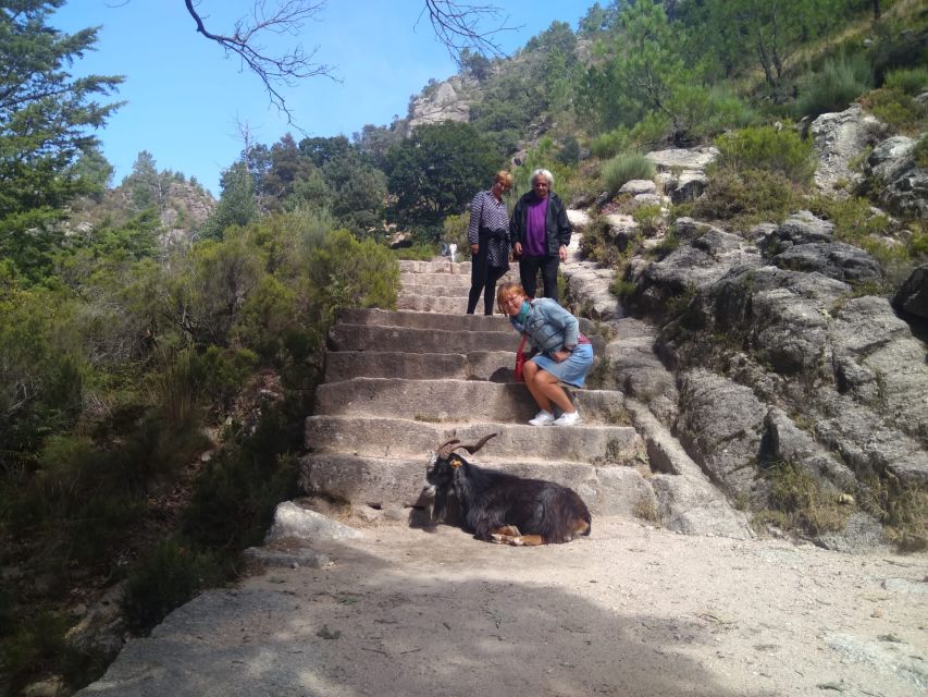 From Porto: Guided tour to Gerês Park - Key takeaways before you go