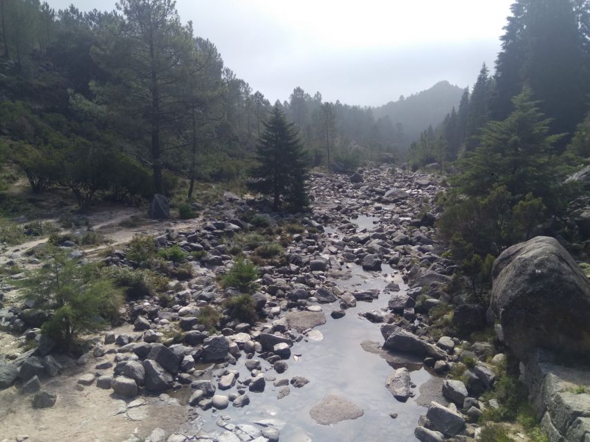 From Porto: Guided tour to Gerês Park - Water sport or activity time: plan for fun, not perfection