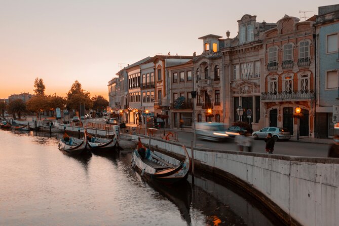 From Porto ↔ Lisbon with up to 4 stops : Aveiro, Nazaré, Óbidos - Why this Porto–Lisbon transfer feels like a real itinerary