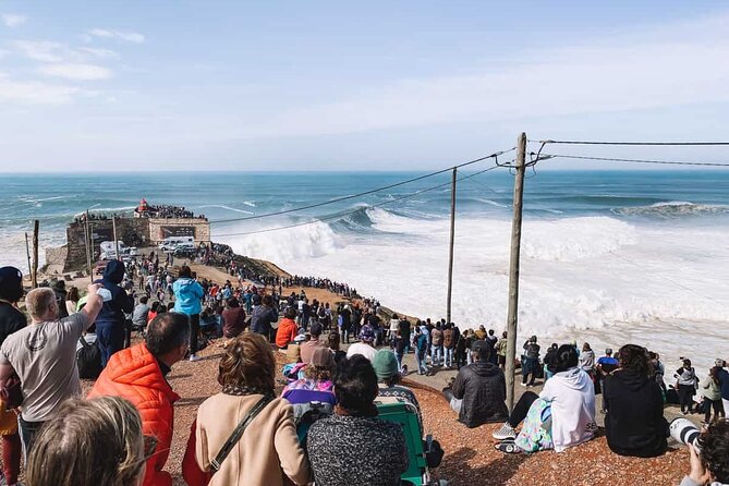 From Porto ↔ Lisbon with up to 4 stops : Aveiro, Nazaré, Óbidos - Getting picked up: timing, comfort, and end location