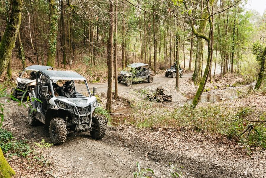 From Porto: Off-Road Buggy Adventure - Morning vs afternoon departures: which is better for your day