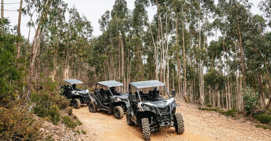 From Porto: Off-Road Buggy Adventure - Castro Mozinho Roman ruins: history you can walk around