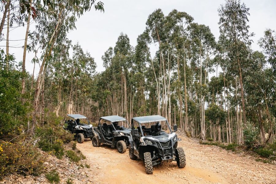From Porto: Off-Road Buggy Adventure - Who this tour fits best