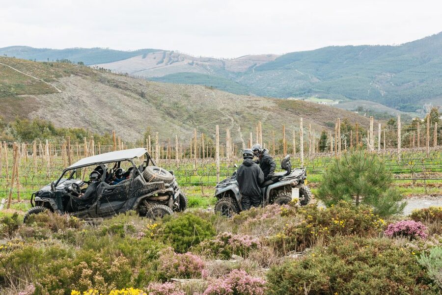 From Porto: Off-Road Buggy Adventure - The first stop: photo time with Serras do Porto Natural Park views