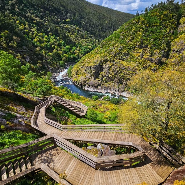 From Porto or Aveiro: 516 Arouca Suspended Bridge Tour - Price and value: what $204 per person actually buys you