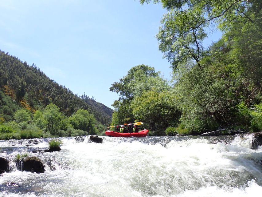 From Porto: Paiva River Canoe Rafting Adventure Tour - Transfers and timing: how long you’re away from Porto