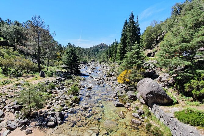 From Porto: Peneda-Gerês National Park Full Day Tour - Cascata Tahiti: the mellow trek that turns the volume up