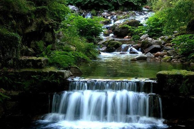 From Porto: Peneda-Gerês National Park Full Day Tour - What makes the tour feel worth the price