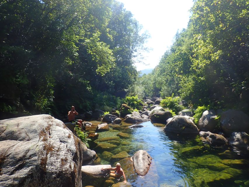 From Porto: Peneda-Gerês National Park Tour with Lunch - Participative Tourism: How Reforestation Fits In