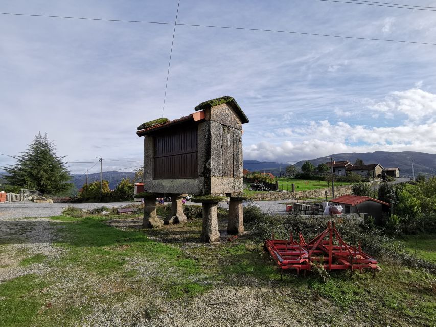 From Porto: Peneda-Gerês National Park Tour with Lunch - Who This Tour Suits (and Who Should Skip It)