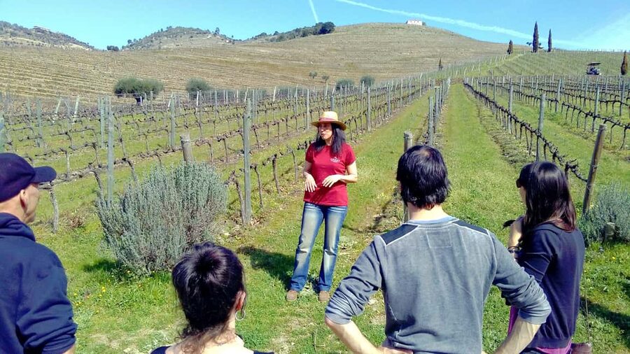 From Porto: Premium Douro Valley 4 Vineyards Tour with Lunch - Key Highlights I’d Target on This Douro Day