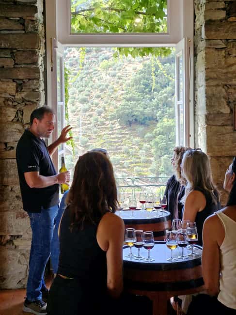 From Porto: Premium Douro Valley 4 Vineyards Tour with Lunch - Second Stop: Older Vineyards, Olive Oil, and Port in One Session