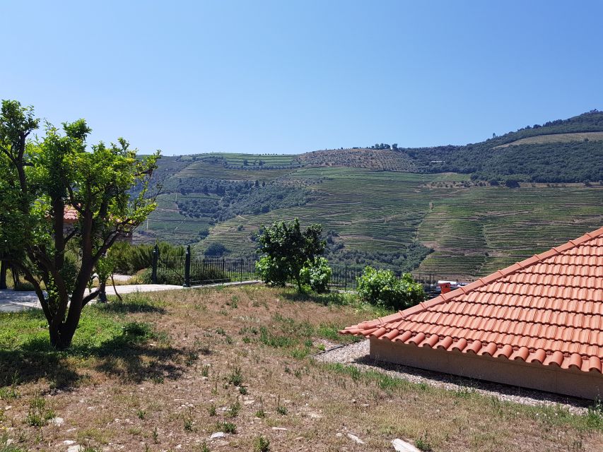 From Porto: Premium Douro Valley 4 Vineyards Tour with Lunch - Small Group Experience: Why Up to 8 People Changes the Day