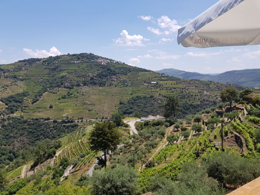 From Porto: Premium Douro Valley 4 Vineyards Tour with Lunch - What You’ll Taste: DOC Wines, Port, and Olive Oil (Not Just One Type of Wine)