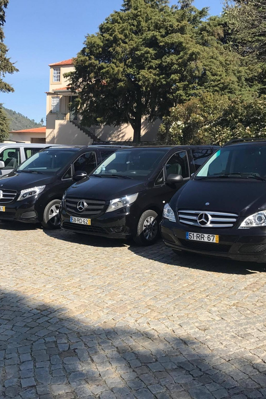 From Porto: Premium Douro Valley Small-Group Wine Tour - Key reasons people pick this Douro tour