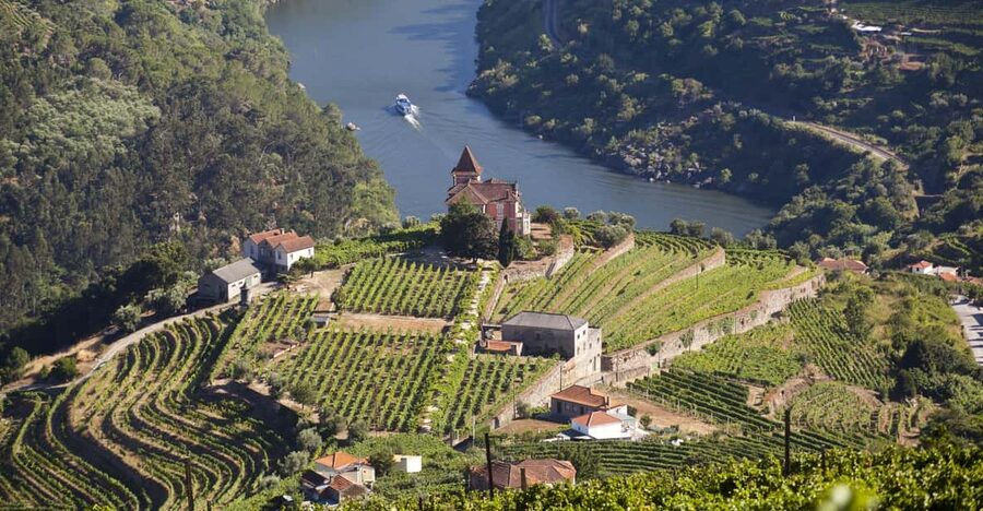 From Porto: Premium Douro Valley Small-Group Wine Tour - Why This Douro Day Feels Like a VIP Outing From Porto
