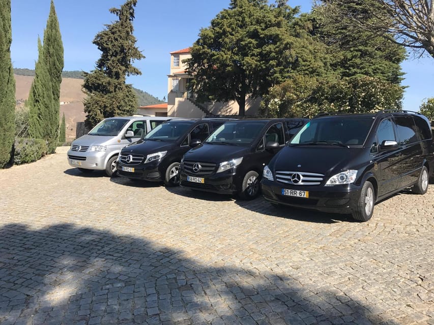 From Porto: Premium Douro Valley Small-Group Wine Tour - Practical Tips: Motion Sickness, What to Bring, and Tasting Smarts