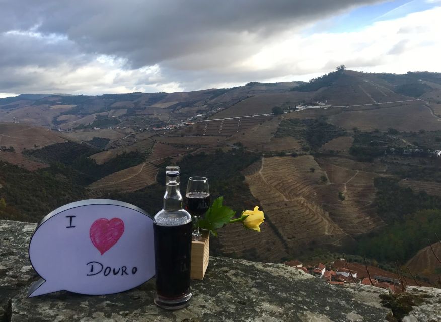 From Porto: Private Douro Valley Tour with Cruise and Wine - Who should book this Douro day trip (and who might not)