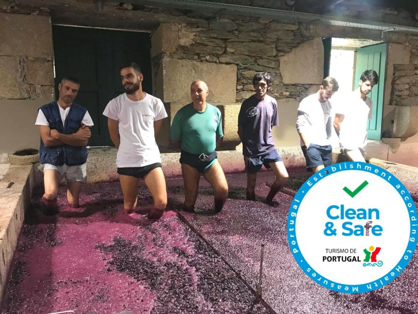 From Porto: Private Douro Valley Tour with Cruise and Wine - The river cruise: included, often optional, always a good reset