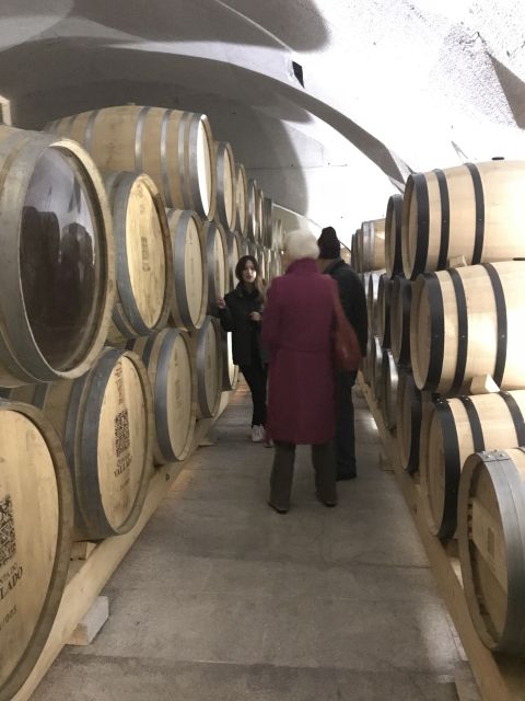 From Porto: Private Douro Valley Tour with Cruise and Wine - Timing and comfort: why a private day feels smoother than group tours