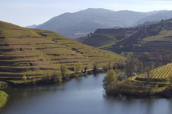 From Porto Private Tour Douro Valley two Wineries, Lunch and Boat. - A Douro day trip that’s built like a smooth itinerary