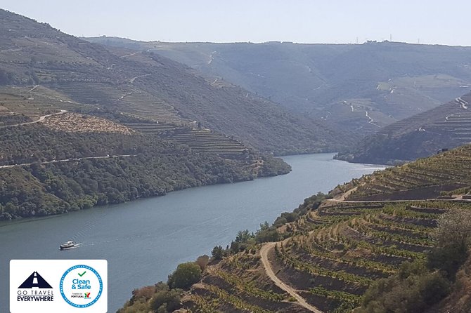 From Porto Private Tour Douro Valley two Wineries, Lunch and Boat. - Timing and traffic: plan your day like a local