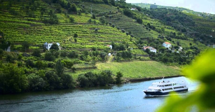 From Porto: Régua to Porto River Cruise with Lunch on Board - Who this Porto to Douro cruise suits best