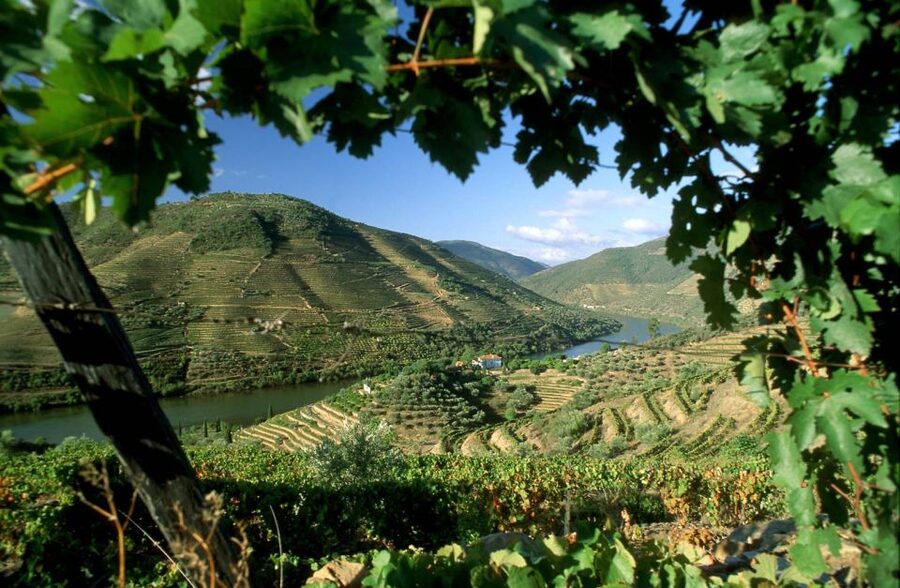 From Porto: Régua to Porto River Cruise with Lunch on Board - A Douro day that starts with scenic bus rides from Porto